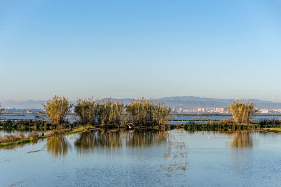 parques naturales valencia