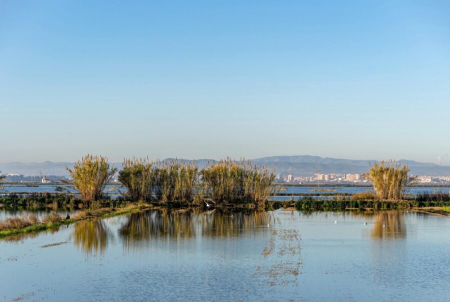 parques naturales valencia