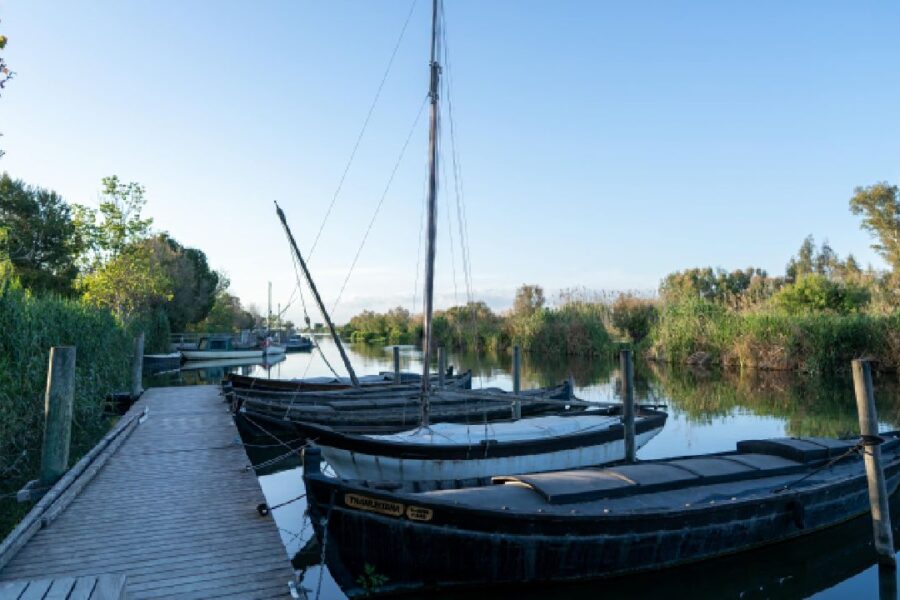 que hacer en la albufera